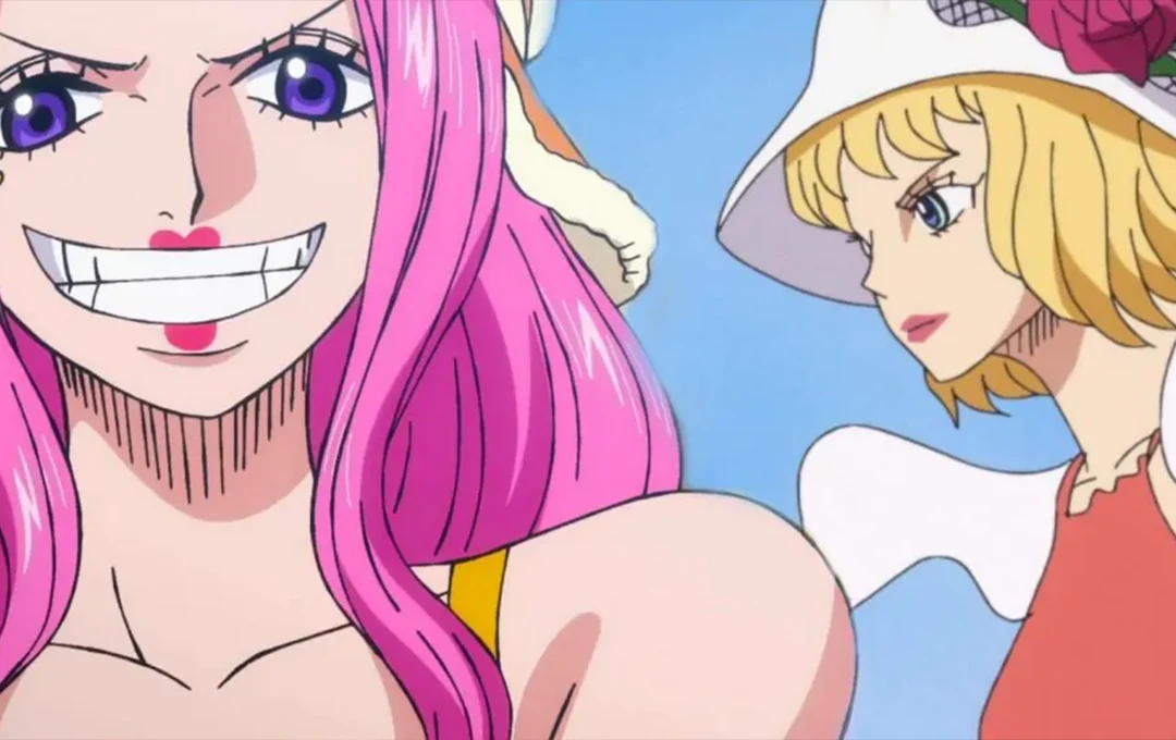 Unraveling the Intriguing Story of Stussy and Jewelry Bonney in One Piece